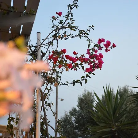 公寓 Avgerinou Paliochori