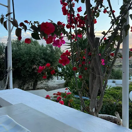 Avgerinou 公寓 Paliochori