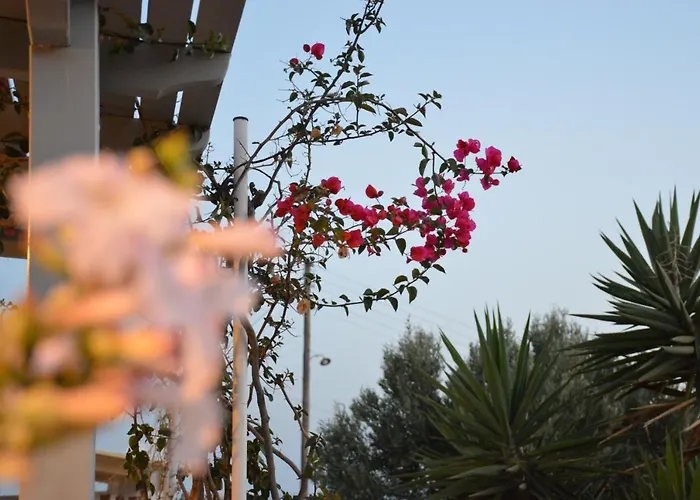 Apartment Avgerinou Paliochori